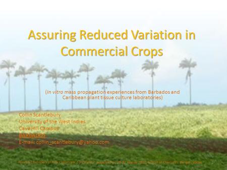 Assuring Reduced Variation in Commercial Crops (In vitro mass propagation experiences from Barbados and Caribbean plant tissue culture laboratories) Plants.