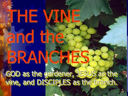 THE VINE and the BRANCHES GOD as the gardener, JESUS as the vine, and DISCIPLES as the branch.