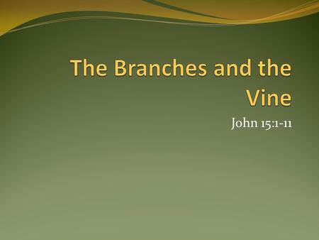 John 15:1-11. The Branch We Are to Be Dependent on the vine; without Him, we are nothing – John 1:1-4 A living branch – Rev. 3:1-3 A fruitful branch What.