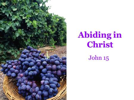 Abiding in Christ John 15. 1 I am the true vine, and My Father is the vinedresser. 2 Every branch in Me that does not bear fruit He takes away; and.