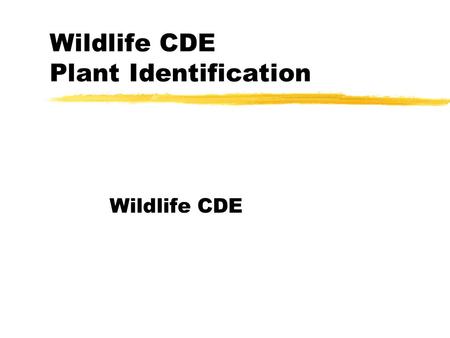 Wildlife CDE Plant Identification Wildlife CDE. Cherry zMay have black spots poisonous to most animals when it wilts – grows most everywhere.
