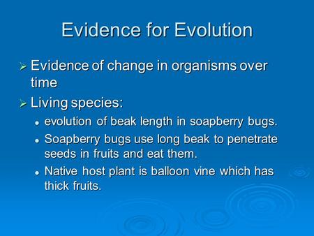 Evidence for Evolution  Evidence of change in organisms over time  Living species: evolution of beak length in soapberry bugs. evolution of beak length.