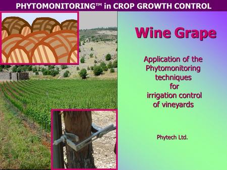 PHYTOMONITORING™ in CROP GROWTH CONTROL Wine Grape Application of the Phytomonitoring techniques for irrigation control of vineyards Phytech Ltd.