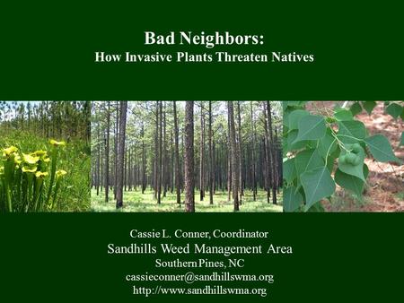 Cassie L. Conner, Coordinator Sandhills Weed Management Area Southern Pines, NC  Bad Neighbors:
