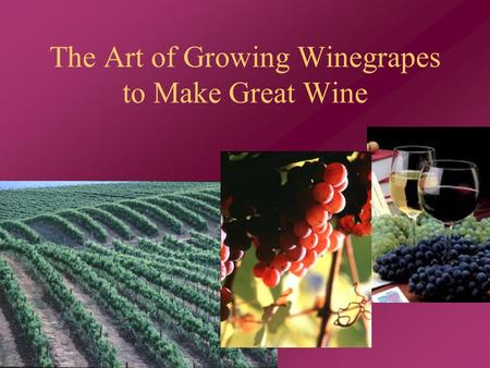 The Art of Growing Winegrapes to Make Great Wine.
