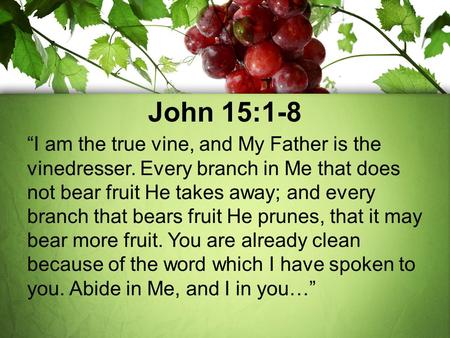 John 15:1-8 “I am the true vine, and My Father is the vinedresser. Every branch in Me that does not bear fruit He takes away; and every branch that bears.