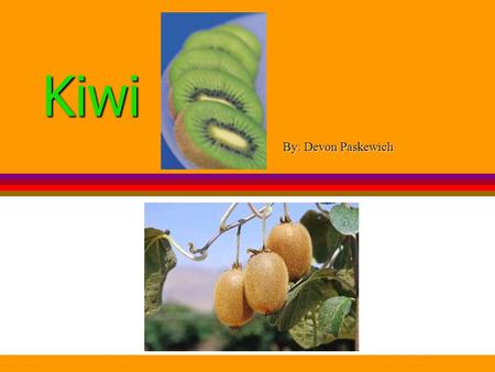 Kiwi By: Devon Paskewich. What is a kiwi? The kiwi is a small oval shaped fruit It has brown hairy skin The flesh (inside) of the fruit is bright green.