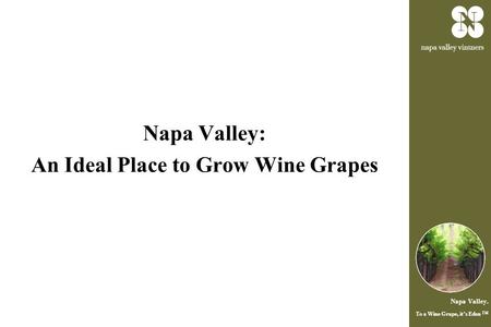 Napa Valley. To a Wine Grape, it’s Eden ™ Napa Valley: An Ideal Place to Grow Wine Grapes.