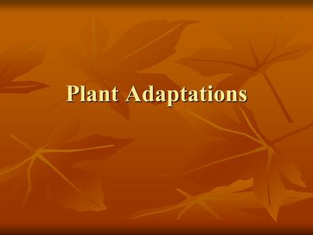 Plant Adaptations. Core Content Biological Science SC-04-3.4.1 Biological Science SC-04-3.4.1 Students will: Students will: compare the different structures.
