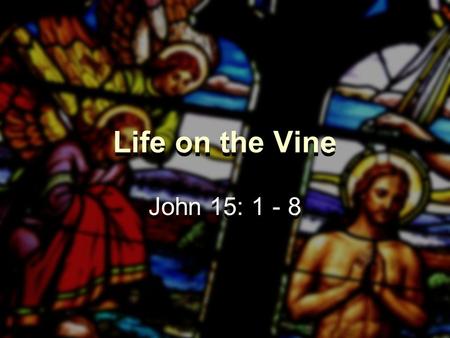 Life on the Vine John 15: 1 - 8. Life on the Vine What is the Aim of Christian Life?  Being godly examples  Using our gifts  Making disciples  Bringing.
