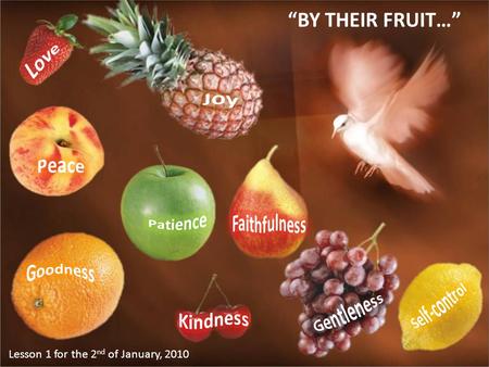 “BY THEIR FRUIT…” Lesson 1 for the 2 nd of January, 2010.