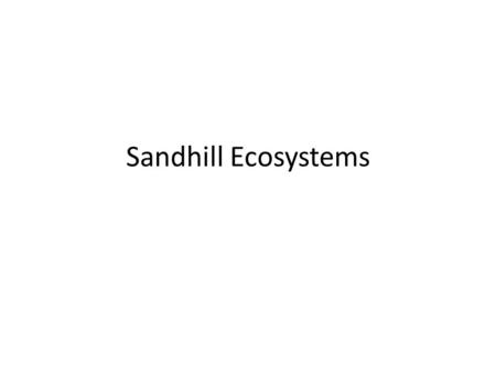 Sandhill Ecosystems. Sandhill is a forest of widely spaced pine trees with a sparse midstory of deciduous oaks and a moderate to dense groundcover of.