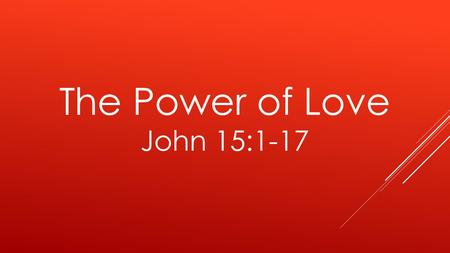 The Power of Love John 15:1-17. 1 “I am the true vine, and My Father is the vinedresser. 2 Every branch in Me that does not bear fruit He takes away;