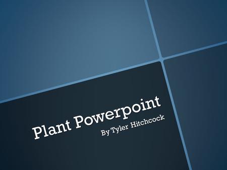 Plant Powerpoint By Tyler Hitchcock. Echinacea purpurea/purple coneflower Echinacea purpurea/purple coneflower  2-5 ft. stems and long-lasting, lavender.