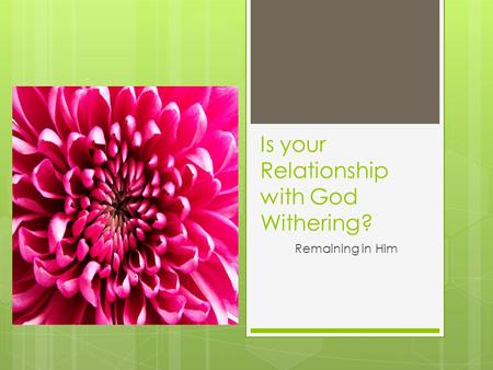Is your Relationship with God Withering? Remaining in Him.