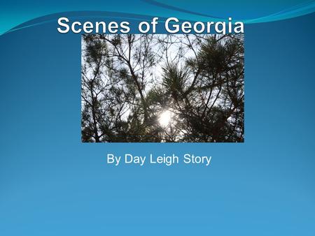 Scenes of Georgia By Day Leigh Story.