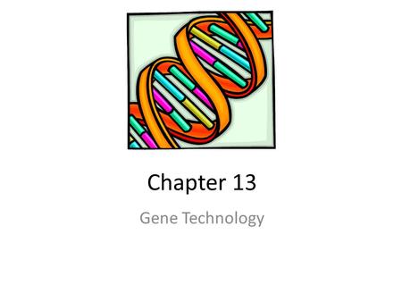 Chapter 13 Gene Technology.