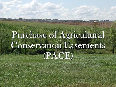 Why All The Talk About Purchase of Agricultural Conservation Easements (PACE)? New state program to support local purchase of permanent agricultural conservation.