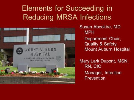 Elements for Succeeding in Reducing MRSA Infections Susan Abookire, MD MPH Department Chair, Quality & Safety, Mount Auburn Hospital Mary Lark Dupont,