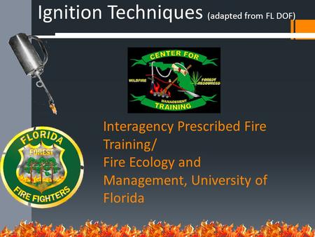Interagency Prescribed Fire Training/ Fire Ecology and Management, University of Florida Ignition Techniques (adapted from FL DOF)