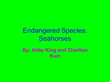 Endangered Species: Seahorses By: Abby King and Charlton Kam.