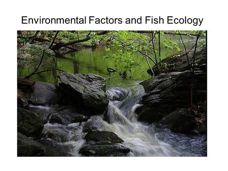 Environmental Factors and Fish Ecology. Environmental factors affecting organisms and local assemblages Many factors High complexity Abiotic Large, long.