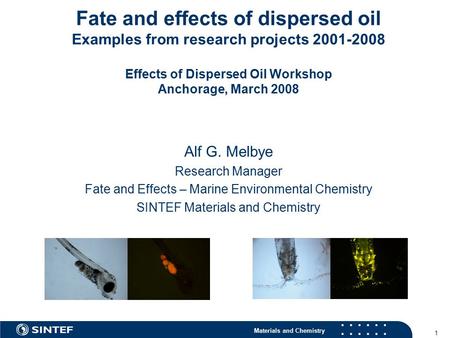 Materials and Chemistry 1 Fate and effects of dispersed oil Examples from research projects 2001-2008 Effects of Dispersed Oil Workshop Anchorage, March.
