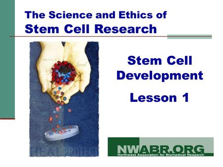Stem Cell Development Lesson 1 The Science and Ethics of Stem Cell Research.