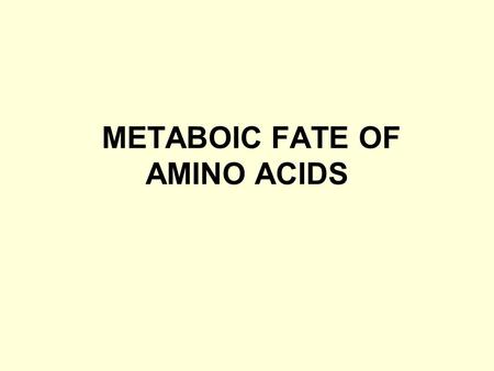 METABOIC FATE OF AMINO ACIDS. Intracellular proteases hydrolyze internal peptide bonds, of protein releasing peptides, which are then degraded to free.