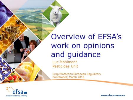 Overview of EFSA’s work on opinions and guidance