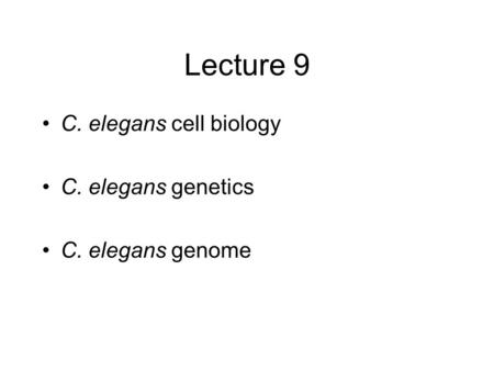 Lecture 9 C. elegans cell biology C. elegans genetics C. elegans genome.