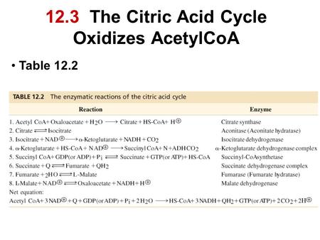 12.3 The Citric Acid Cycle Oxidizes AcetylCoA Table 12.2.