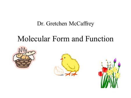 Dr. Gretchen McCaffrey Molecular Form and Function.