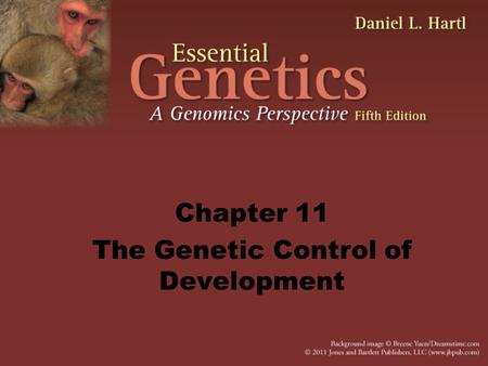 Chapter 11 The Genetic Control of Development