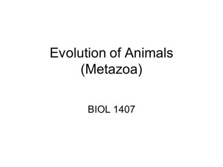 Evolution of Animals (Metazoa) BIOL 1407. Animal Body Plan Tissues –Absent = Parazoa –Present = Eumetazoa.