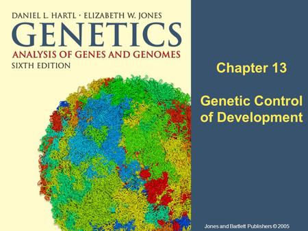 Chapter 13 Genetic Control of Development Jones and Bartlett Publishers © 2005.