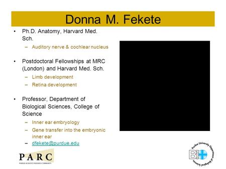 Donna M. Fekete Ph.D. Anatomy, Harvard Med. Sch. –Auditory nerve & cochlear nucleus Postdoctoral Fellowships at MRC (London) and Harvard Med. Sch. –Limb.