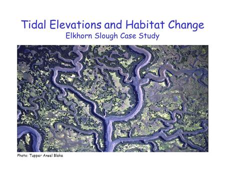Tidal Elevations and Habitat Change Elkhorn Slough Case Study Photo: Tupper Ansel Blake.