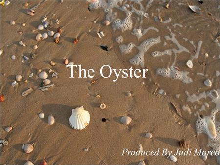 The Oyster Produced By Judi Moreo. There once was an oyster whose story I tell, That found some sand inside of his shell.