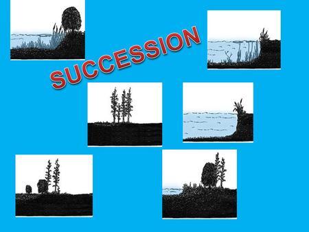m%204/pond.htm  m%204/pond.htm Watch the short animation on succession by clicking.