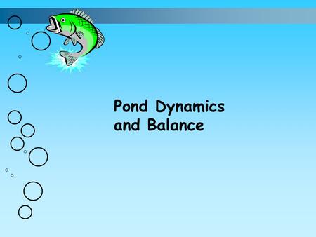 Pond Dynamics and Balance. Water Quality Factors 1. Dissolved oxygen 2. Alkalinity 3. Hardness 4. pH.