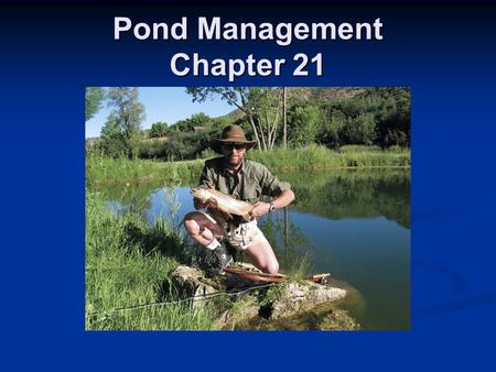 Pond Management Chapter 21. Ponds or Small Impoundments 