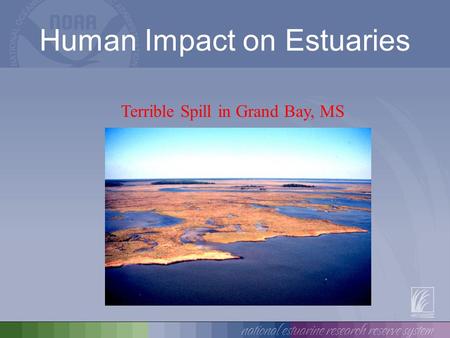 Human Impact on Estuaries Terrible Spill in Grand Bay, MS.