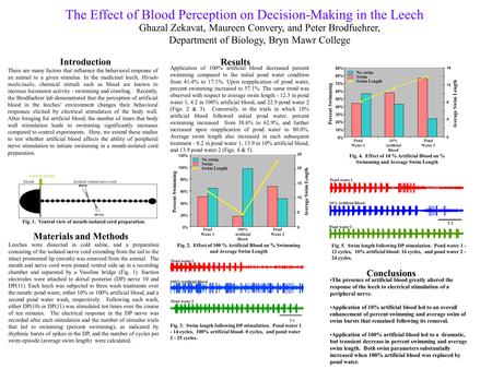 The Effect of Blood Perception on Decision-Making in the Leech Introduction There are many factors that influence the behavioral response of an animal.