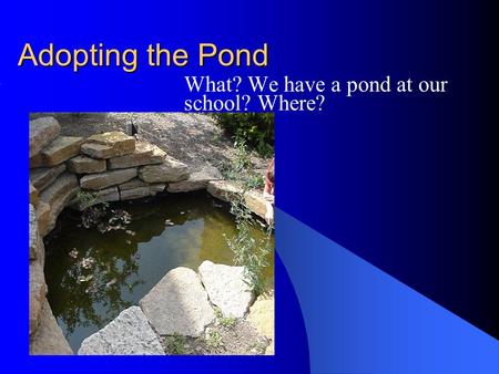 Adopting the Pond What? We have a pond at our school? Where?