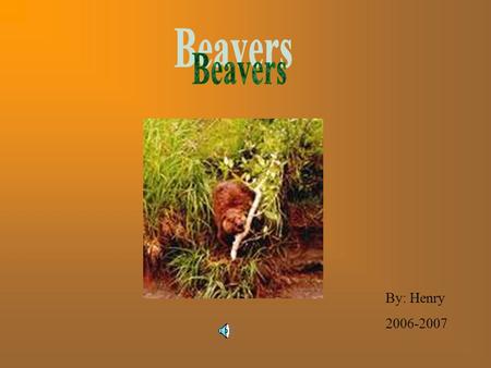 By: Henry 2006-2007 The North American beaver is also called the Castor Canadensis, it is a big web-footed, semi-aquatic rodent, it has brown fur with.