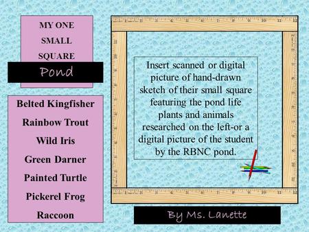 MY ONE SMALL SQUARE Pond By Ms. Lanette Belted Kingfisher Rainbow Trout Wild Iris Green Darner Painted Turtle Pickerel Frog Raccoon Insert scanned or digital.
