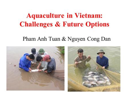 Aquaculture in Vietnam: Challenges & Future Options