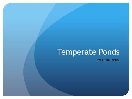 Temperate Ponds By: Layla Idrissi. What is a Temperate Pond? A temperate pond is a well-filtered pond. Many animals and plants live in a temperate pond.
