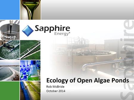 Ecology of Open Algae Ponds Rob McBride October 2014 Rob McBride October 2014.